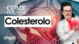 Come funziona il colesterolo: si può abbassare? E quali sono i cibi da evitare