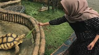 Istana stable majalengka