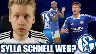 Ist Sylla schnell wieder weg? Felipe Sanchez teurer als gedacht! - Schalke News