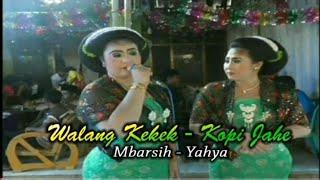 Walang Kekek, Kopi Jahe // TAYUB TUBAN NONSTOP // Yahya & Mbarsih