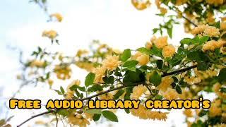 Free audio library creator's nomcopyright/music relaxing music free audio music  #freeaudiolibrary