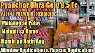 How To Apply Pyanchor Ultra 8.5 Ec Gold Herbicide For Rice