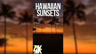 Amazing Ocean Views at the Sunset for Vertical Screens - 4K Stunning Scenes of Oahu Island, Hawaii