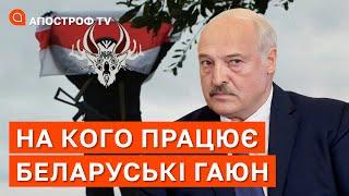 НА КОГО ПРАЦЮЄ БЕЛАРУСЬКІ ГАЮН? Чому вони запускають фейки і звідки беруть інформацію? / Апостроф тв