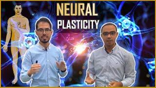 Neural Plasticity