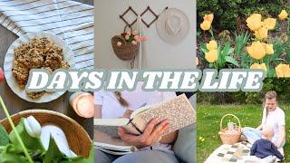 DAYS IN THE LIFE: gardening, home updates, cleaning motivation | peaceful + productive 