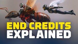 Ant-Man and the Wasp End Credits Scenes Explained (SPOILERS!)