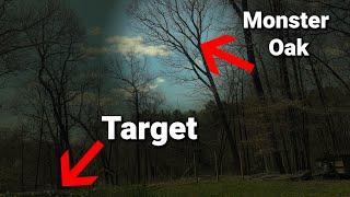 Hitting The Target With a 70' Oak