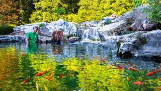Making a Serene Waterfalls Mini Ecosystem Lake (Feeder Goldfish Sanctuary)
