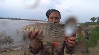 Рыбалка на Донку Закидушки в Дождь на Реке Ловля Голавля на Течении