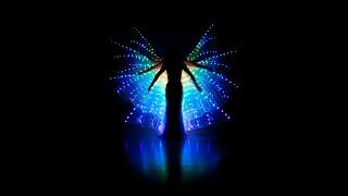 Belly Dancers Sabihah Stars dance with LED WINGS to Crystalise