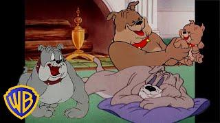 Tom & Jerry | Best of Spike  | Classic Cartoon Compilation | @wbkids​