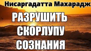 ВЫХОД ЗА ПРЕДЕЛЫ СОЗНАНИЯ. ОСОЗНАНИЕ. ОСВОБОЖДЕНИЕ. ИСТИННОЕ СОСТОЯНИЕ. НИСАРГАДАТТА МАХАРАДЖ #ум