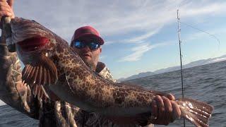 LINGCOD FISHING Vertical Jigging Vancouver Island (Part 1)