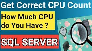 How Much CPU do you have ? Get correct CPU count || SQL SERVER Performance || CPU Utilization 100%