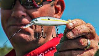 All-Season Bass Fishing Jerkbait Strategies With KVD