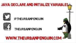 Java Declare and Initialize Variables