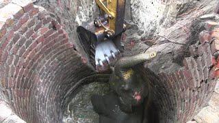 This wild elephant rescued from well by wildlife officers | Animal rescue | Wildlife | 象 | الفي