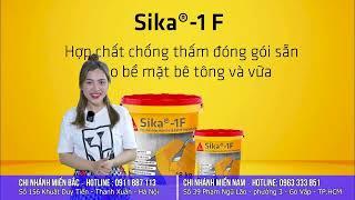 Cách chống thấm nhà vệ sinh hiệu quả bằng Sika 1F