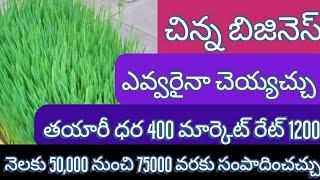 special type of business ||small business ideas in telugu ||wheatgrass powder