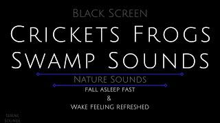 10 Hours - Swamp Sounds - Crickets and Frogs - Cricket Sounds - Cricket Sounds for Sleeping - Frogs