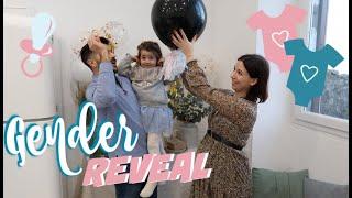 NOTRE GENDER REVEAL [ ELYROSE VLOG ]