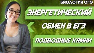 ОГЭ Биология 2022 | Энергетический обмен | Все подводные камни заданий