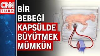 Hamilelik tarih mi oluyor? Kapsül rahimde 120 günde 8 kuzu yetiştirildi