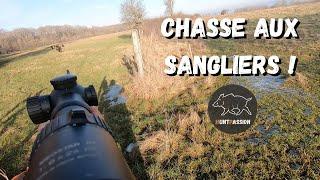 Chasse aux sangliers - Deux battues, un postes !