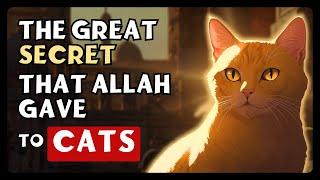 The Amazing MYSTERIES of CATS in Islam