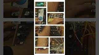 Moog Labyrinth Generative Synthesizer #synth #modularsynth  #synthesizer