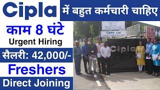 Cipla Limited मैं निकली भर्ती | Cipla Recruitment 2024 | job vacancy 2024 | Jobvalley