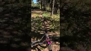 Got hit by a Monkey tree!  #mtb #chile #mountainbiking