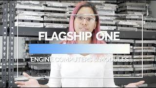 Welcome to Flagship One, Inc. OEM Engine Computer (PCM/ECM/ECU Modules) Supplier