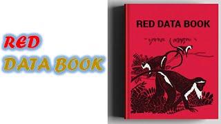 What all you should know about RED DATA BOOK and 10 examples | KNOWLEDGE | 1080p |