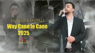 Honar Kandali  - Way Cane le Cane #Sepe by Deljana Musik 2025