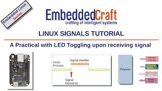 Linux Signal Tutorial, A Practical with LED Toggling upon receiving signal