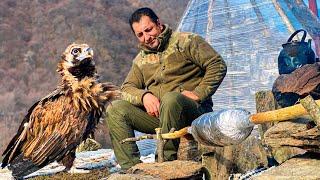 К нам Прилетел Настоящий Кавказский Орел Пообедать вместе