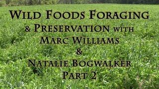 Wild Foods Foraging & Preservation with Marc Williams & Natalie Bogwalker Part 2