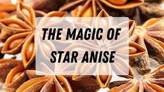 Star Anise || Using In Your Magickal Practice