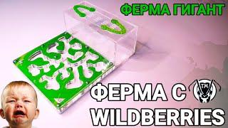 САМАЯ ДЕШЁВАЯ ФЕРМА С WILDBERRIES, МУРАВЬИНАЯ ФЕРМА #ФЕРМЫСWB \\ ТАПОК МИРА