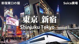 【Japan】A night at Shinjuku, Tokyo & Getting to Shinjuku from Narita Airport by Skyliner Express