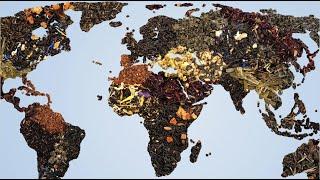 Global Tea HISTORY: Ancient Origins to Today's Tea RENAISSANCE | Tea Masterclass Ch. 7