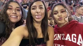 We Are WSU| H_D205 2019 |GO COUGS!