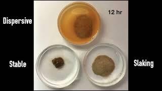 Soil stability demonstration - degrees of aggregate breakdown