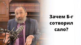 Зачем Б-г сотворил сало?