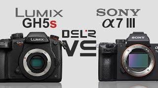 Panasonic Lumix GH5s vs Sony alpha a7 III