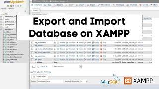 How to Export and Import Database in XAMPP (2023 Complete Guide)