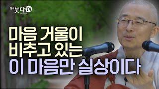 마음 거울이 비추고 이 마음만 실상이다 | 일상 마음 이야기 말씀 불교 행복 소확행 깨달음 조언 인생 | 법상 스님의 행복한 마음공부 영가현각 증도가 88회