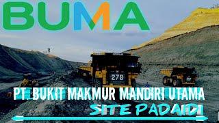 BUMA Coal Mining Contractor Indonesia | Site Padaidi